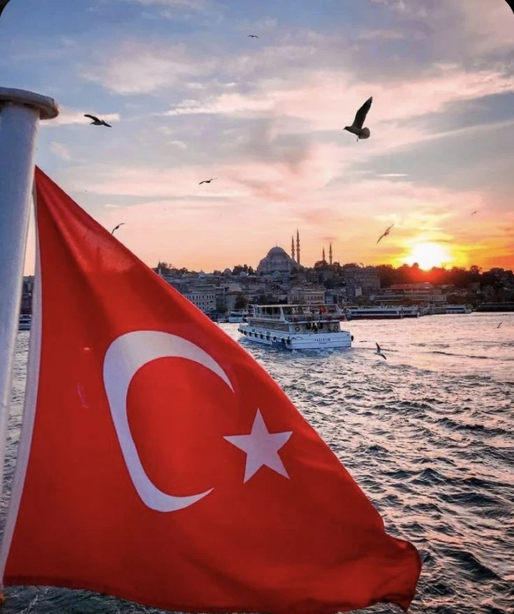 Bandera de Turquía ondeando en un barco con Estambul al atardecer y gaviotas